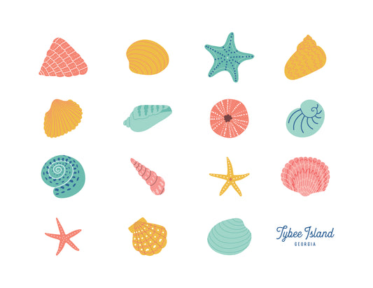 Seashell Print